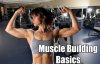 muscle-building-basics-700x450.jpg