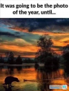 1645899949952.png